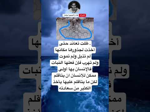 ظلت تعاند حتىأخذت لجذورها مكانهالم تذبل ولم تموتولم تهرب فإن