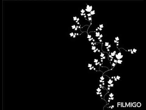 أجمل صور خلفيات سوداء