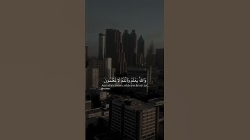 سورة البقرة - والله يعلم وانتم لا تعلمون - حالات واتس