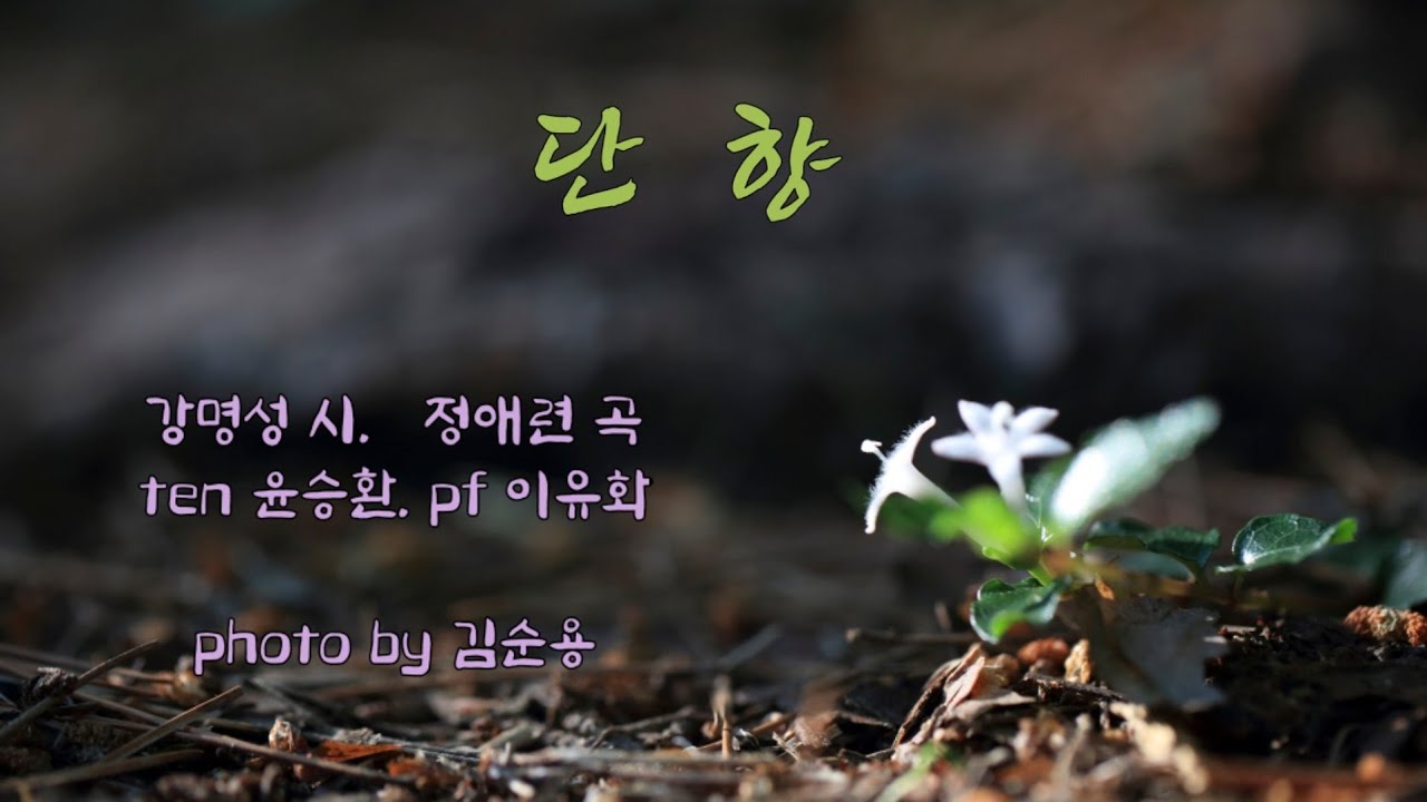 단향 - 강명성 시. 정애련 곡. ten 윤승환. pf 이유화. photo by 김순용(호자덩굴)