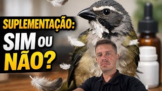 Trinca ferro precisa de suplemento,vitamina,ou complementação?