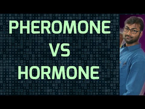 फेरोमोन बनाम हार्मोन | फेरोमोन और हार्मोन के बीच अंतर