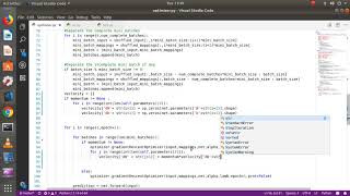 Adding Momentum algorithm | building deep learning library part 8!
