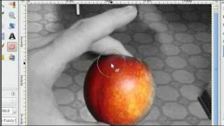Gimp- Easy Selective Coloring/Desaturating
