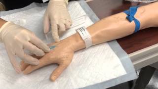 IV Insertion Mastery- Morse