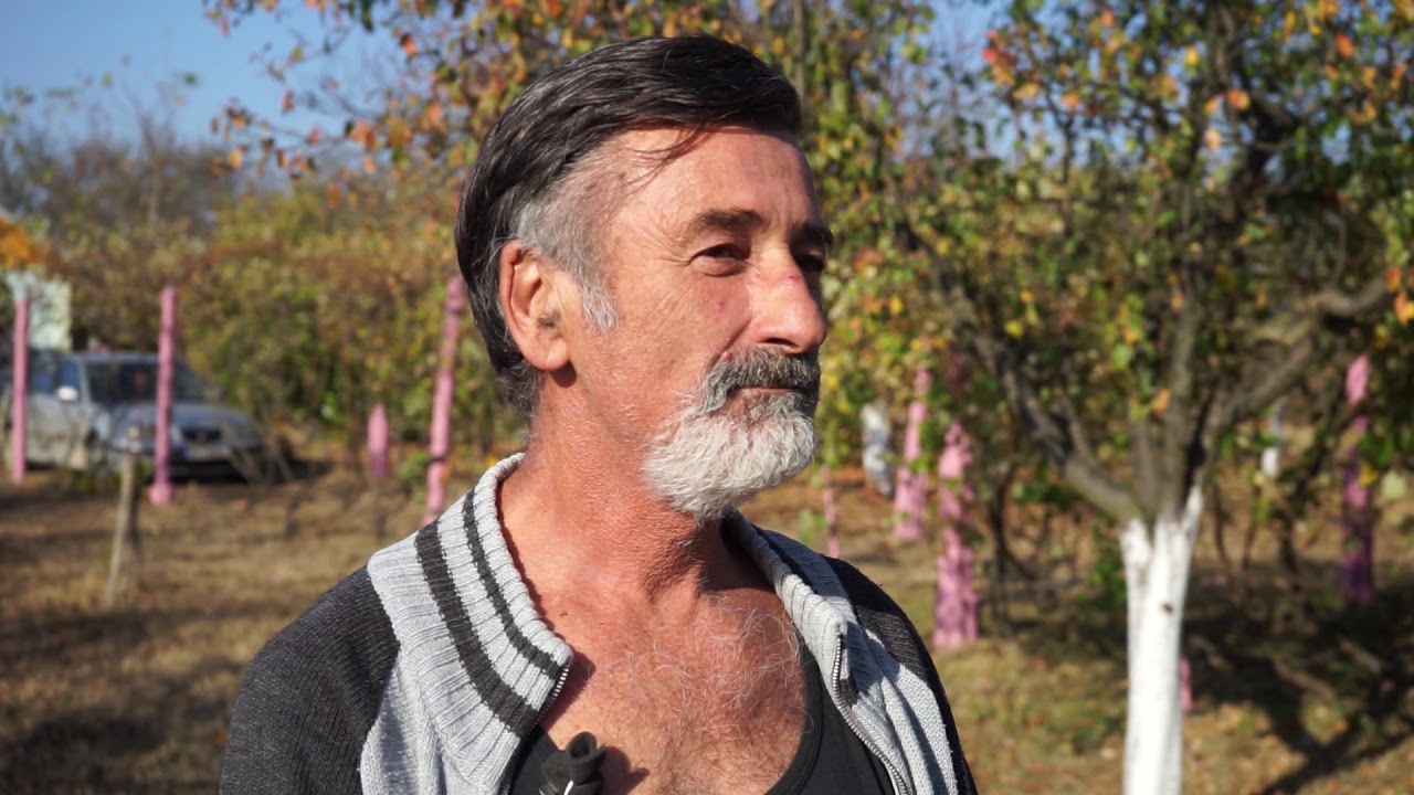 Autohtone vrste Srbije ep. 37 07.11.2019. - Mušmula