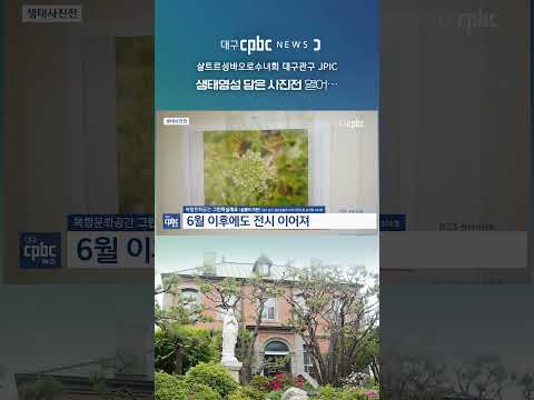 영상썸네일