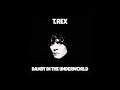 T.Rex - Dandy In The Underworld (Full Album)