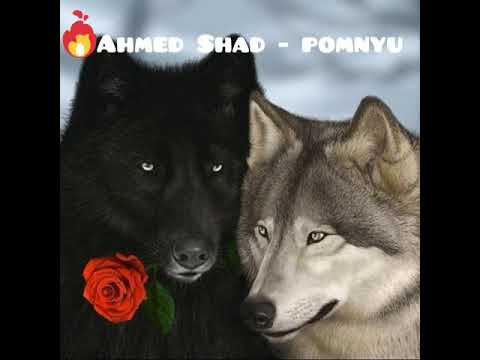 Ahmed Shad- я помню 2019