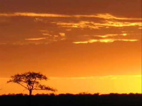 Afrique vs Our Thing - Kanta Fallah