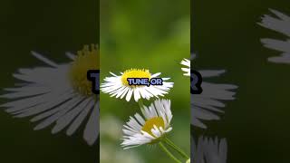 Unlock Flavor The Secret Power Of Music While Eating