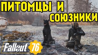 картинка: FALLOUT 76 | ГАЙД, ВСЕ О ПИТОМЦАХ И НАПАРНИКАХ!( ВСЕ ВИДЫ, ГДЕ  ИСКАТЬ?)