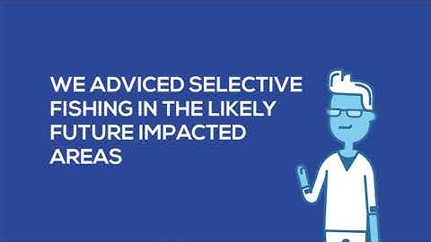 Making research effective and reproducible: The pufferfish case