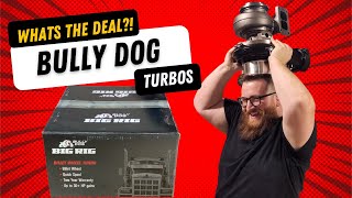 Taking A Look At The Bully Dog Big Rig Stage 1 Caterpillar Turbo