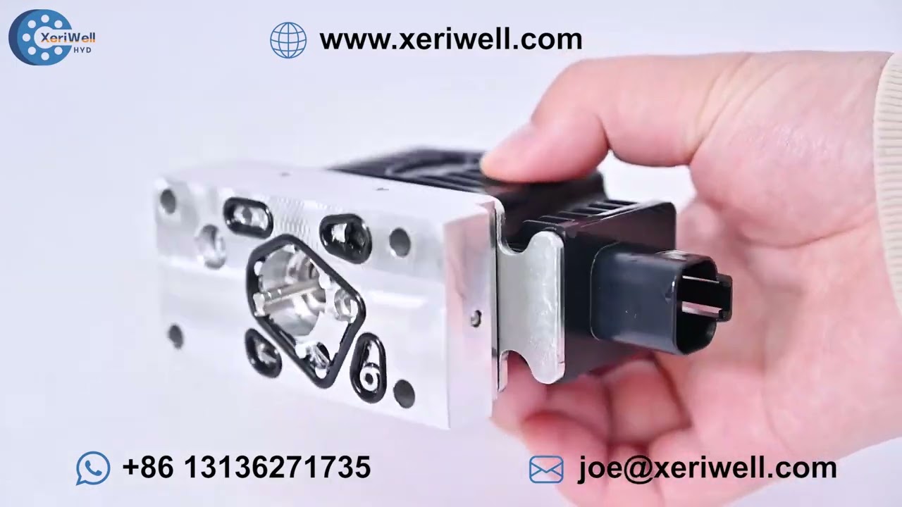 DANFOSS 11166732 Hydraulic Pump Spare Parts-Hydraulic Valve｜danfoss hydraulic motor omm 8｜