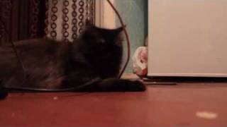 Bastard Party - Emotional Eating