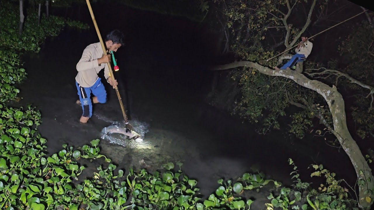 টেটার মিশনে আজ রাত | Traditional fishing | সিজন ০৩ | পর্ব ০৬ | Mamun | Megh| Fishing Bangladesh।