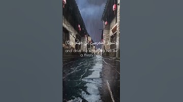 (فلا تعجل عليهم ۖ إِنّما نعدّ لهم عدّا) سورة مريم قرآن _ Quran.
