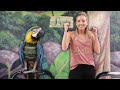 Are Some Birds Just UNTRAINABLE? | Cheyenne the Snake Discovery Macaw