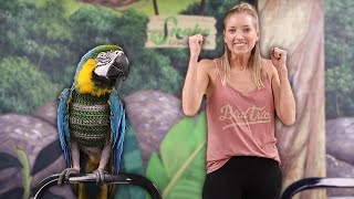 Are Some Birds Just UNTRAINABLE? | Cheyenne the Snake Discovery Macaw