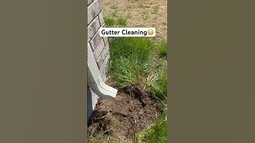 Clean Your Gutters😳 #gutters #cleanyourgutters #guttercleaning