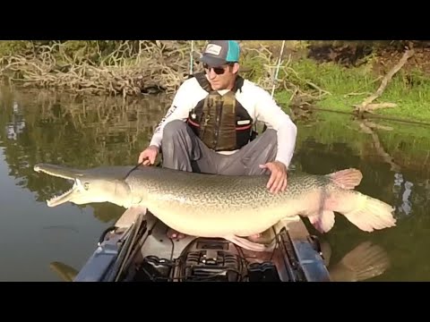 How to Catch Big Alligator Gar On A Lure