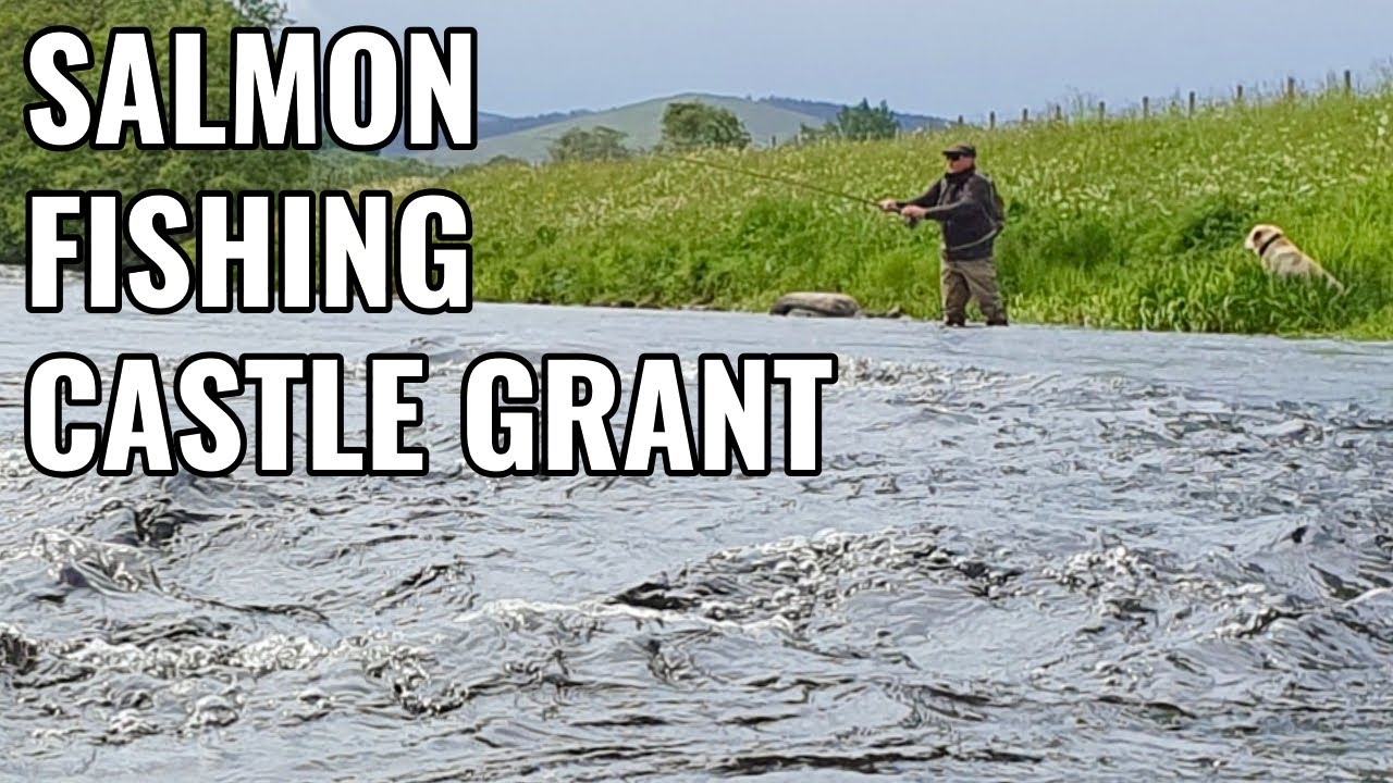 Salmon Fishing Castle Grant on the River Spey with Ian Gordon