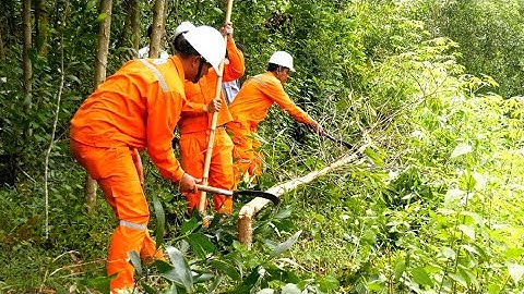 PC Quảng Nam tăng cường bảo vệ an toàn hành lang tuyến lưới điện mùa mưa bão