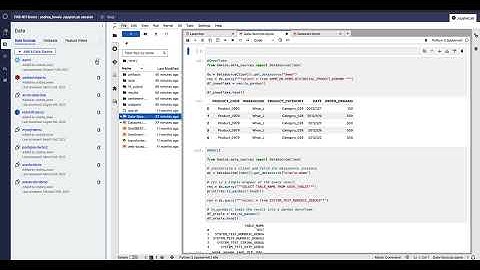 Data connections and preparation in the Domino Enterprise AI Platform