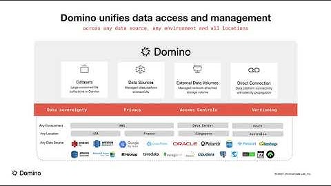 Data connections and preparation in the Domino Enterprise AI Platform