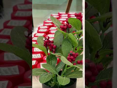 جانب من احتفال المدرسة بيوم المعلم
