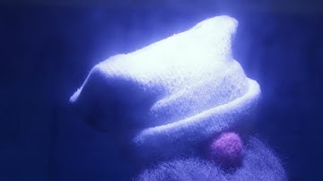 StopMo short-film, Chico State Fall 24