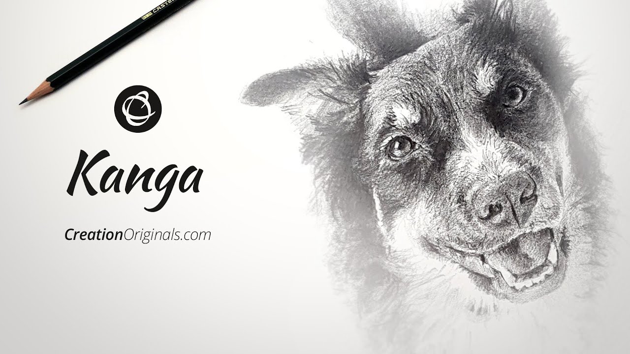 Create originals. As creations originals. Synod drumm. Create originals. Brain shima.