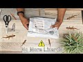 How To Get Rid Of Lizards Effectively! Catchmaster Lizard, Mice & Insect Board