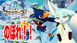 【Faaast Penguin】ペンギンクライマーズデビュー