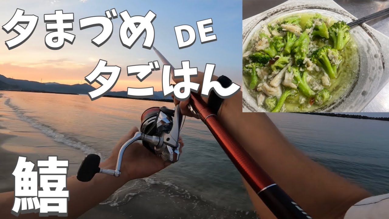 超短時間鱚キス釣りでサクッと連掛け＆ひと手間調理で美味しく頂く