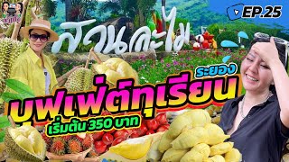 บุกสวนละไม ไปกินบุฟเฟ่ต์ทุเรียนหมอนทองปี2565กินแบบไม่อั้น ราคาเริ่มต้น350บาท Iพาไปปิ๊ง Ep.25