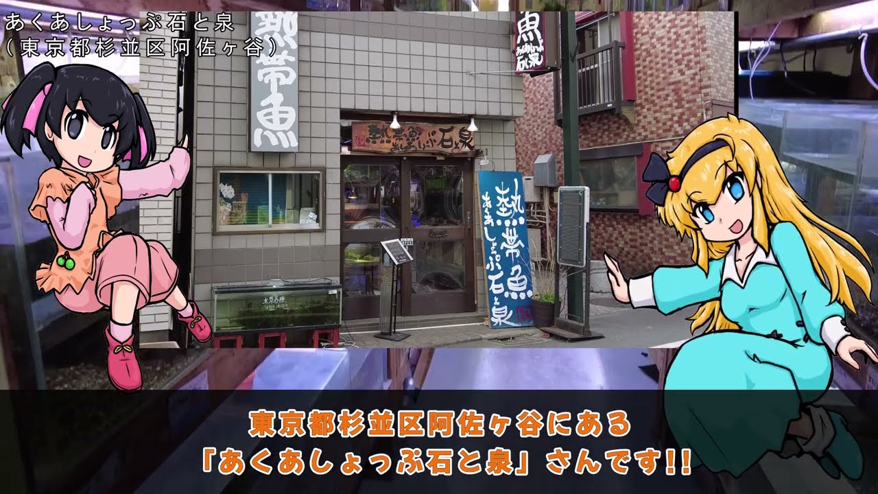 石 と 泉