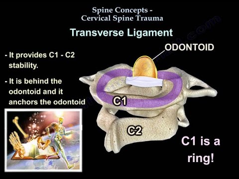 Cervical Spine Trauma - Everything You Need To Know - Dr. Nabil Ebraheim