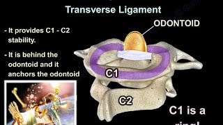 Cervical Spine Trauma  Everything You Need To Know  Dr. Nabil Ebraheim