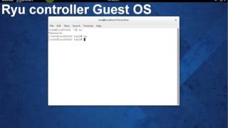 SDN Wi Fi Infrastructure Simulation with External Controller Wealth