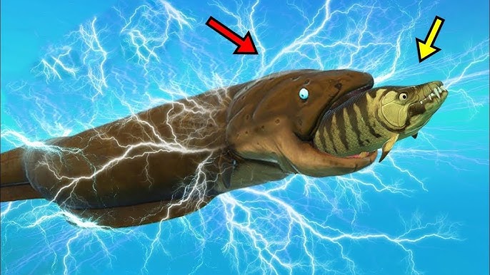 Мега галереялар нәсіларалық порно онлайн