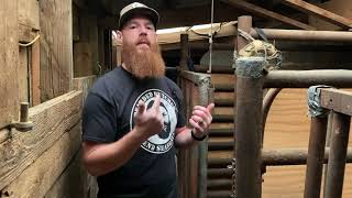 Behind The Scenes At A Slaughterhouse Small Animals Like Pigs And Sheep The Bearded Butchers