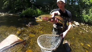 Award-Winning film - "Welcome to the Mountains" - Fly Fishing North Carolina
