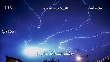 قرآن كريم بصوت القارئ: سعد الغامدي || أجمل حالات واتس اب دينيه || تلاوة خاشعة 🌿