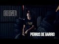 GRIND - PERROS DE BARRIO
