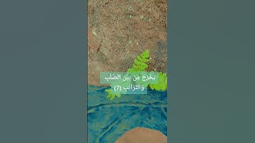 #سورة_الطارق