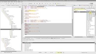 DVT Eclipse IDE Types View - Where Are Those Package-Global DPI Functions