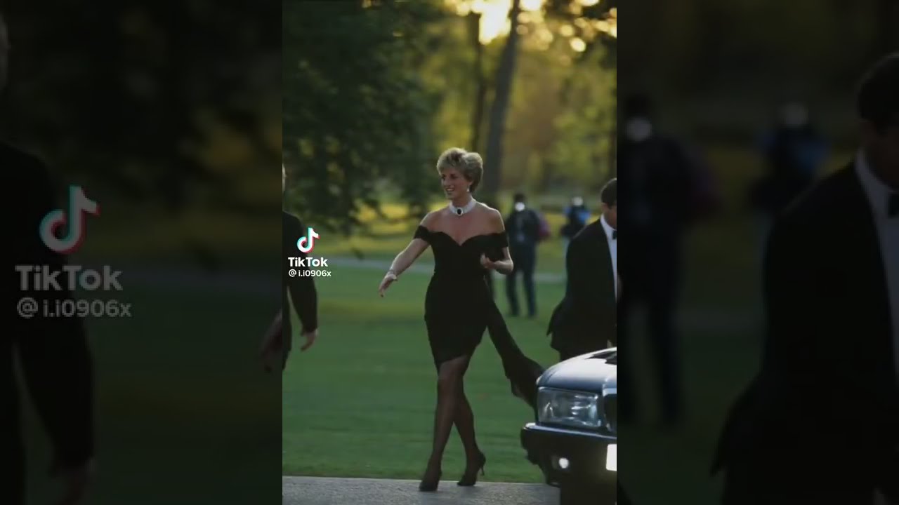 The Legendary Princess Diana's Revenge Dress  