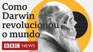 O que é a teoria da evolução de Charles Darwin e o que inspirou suas ideias revolucionárias